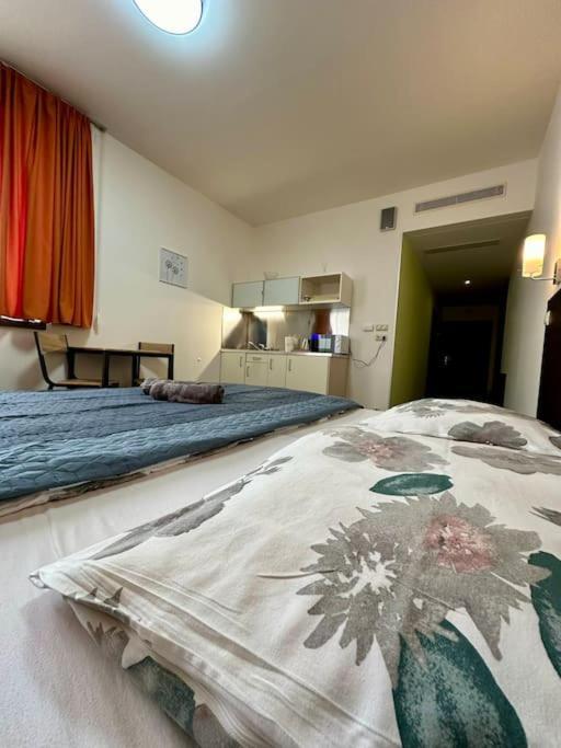 Apartman Priamo Na Hlavnej Ulici كَشّا المظهر الخارجي الصورة