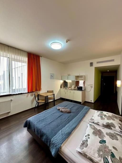 Apartman Priamo Na Hlavnej Ulici كَشّا المظهر الخارجي الصورة